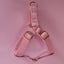 Pet Chest Harness and Leash Dog Collar and Leash Set
