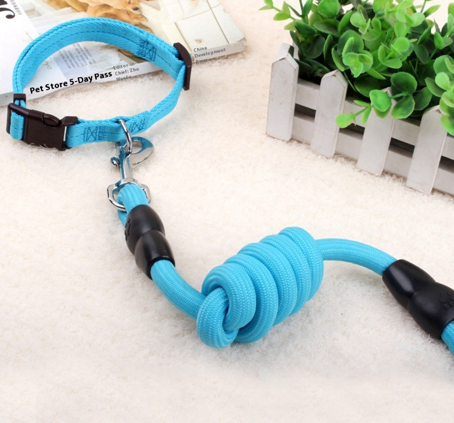 Dog Collar and Leash