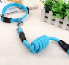 Dog Collar and Leash