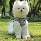 Dog Leash Reflective Strips Go Out At Night Pet Harness and Leash Set