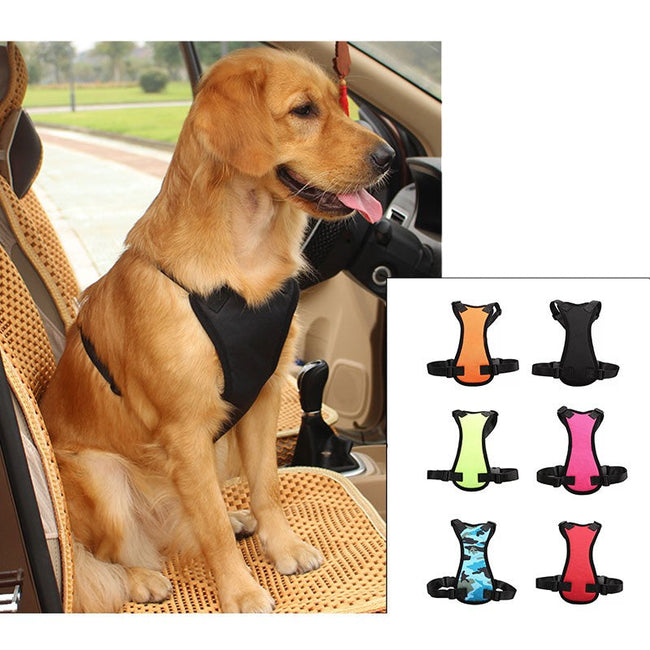 Pet Car Seat Safety Belt and Collar Set Main Image