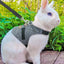 Small Animal Harness Vest and Leash Rabbit Harness Dress