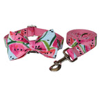 Printed Dog Collar and Leash