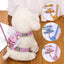 Cute Bee Pet Harness and Leash Set