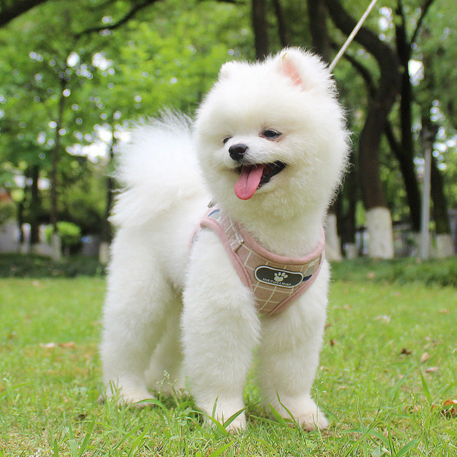 Dog Leash Reflective Strips Go Out At Night Pet Harness and Leash Set Hover Image