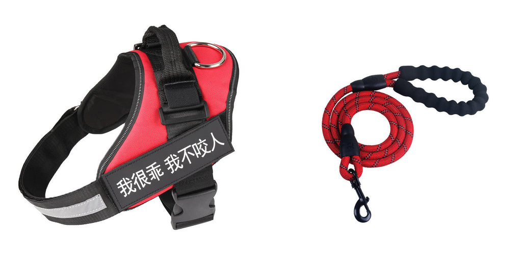 Simple Pet Chest Strap Harness and Leash Set