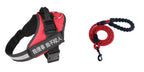 Simple Pet Chest Strap Harness and Leash Set