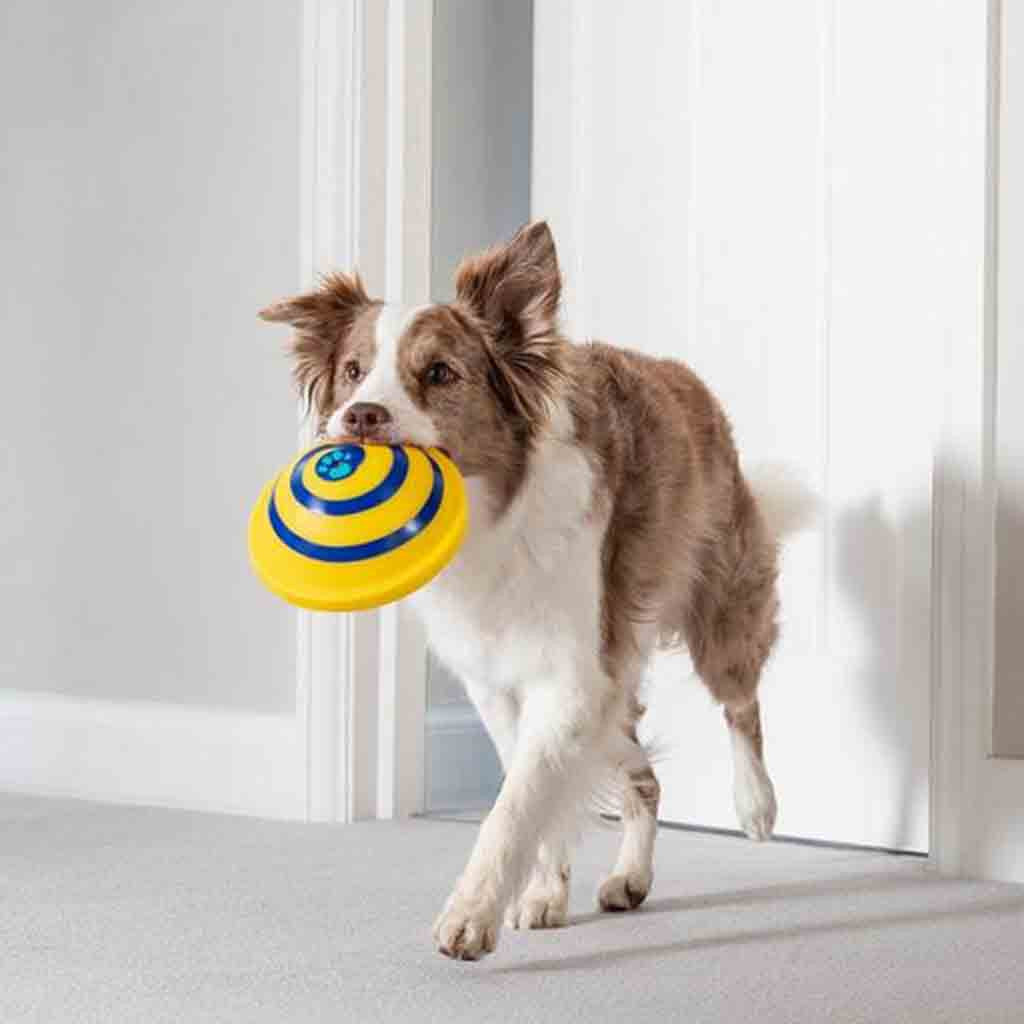 Dog Sounding Disc Toy