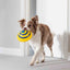 Dog Sounding Disc Toy