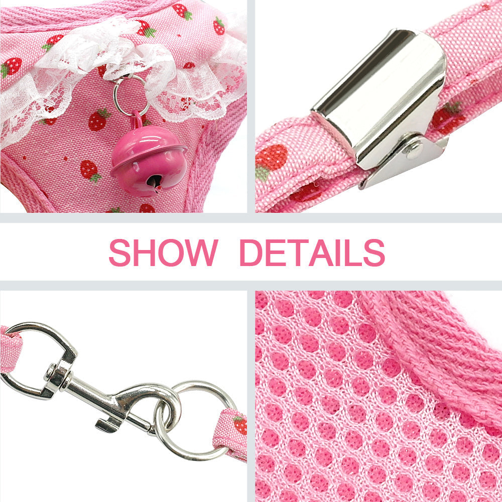 Small Pet Chest Harness and Leash