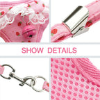 Small Pet Chest Harness and Leash