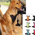 Pet Car Seat Safety Belt and Collar Set