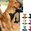 Pet Car Seat Safety Belt and Collar Set