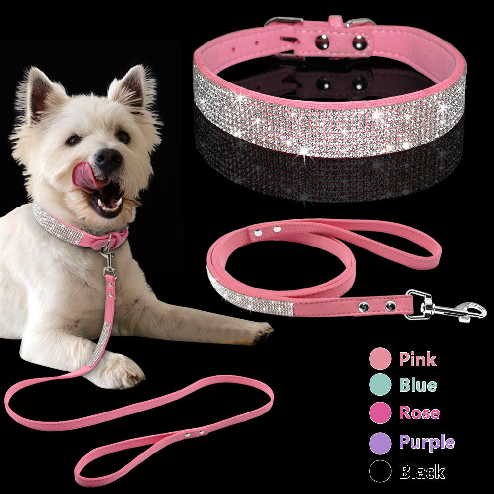 Dog Collar Dog Leash1