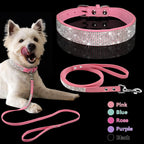 Dog Collar Dog Leash1