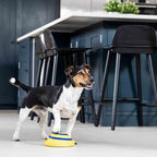 Dog Sounding Disc Toy