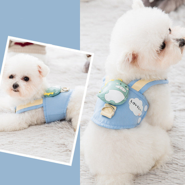 Cute Pet Harness and Leash Set Main Image