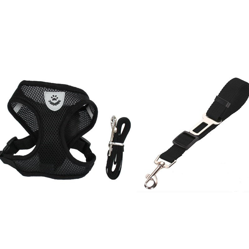 Pet Car Seat Belt Harness & Leash