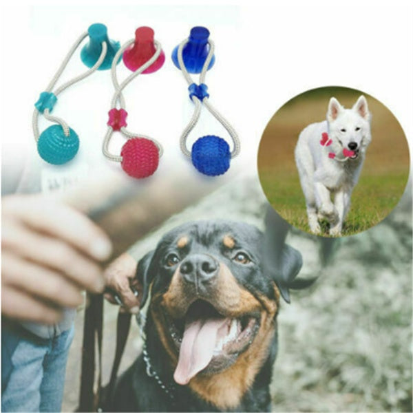 Dog Multifunction Pet Molar Bite Toy Hover Image