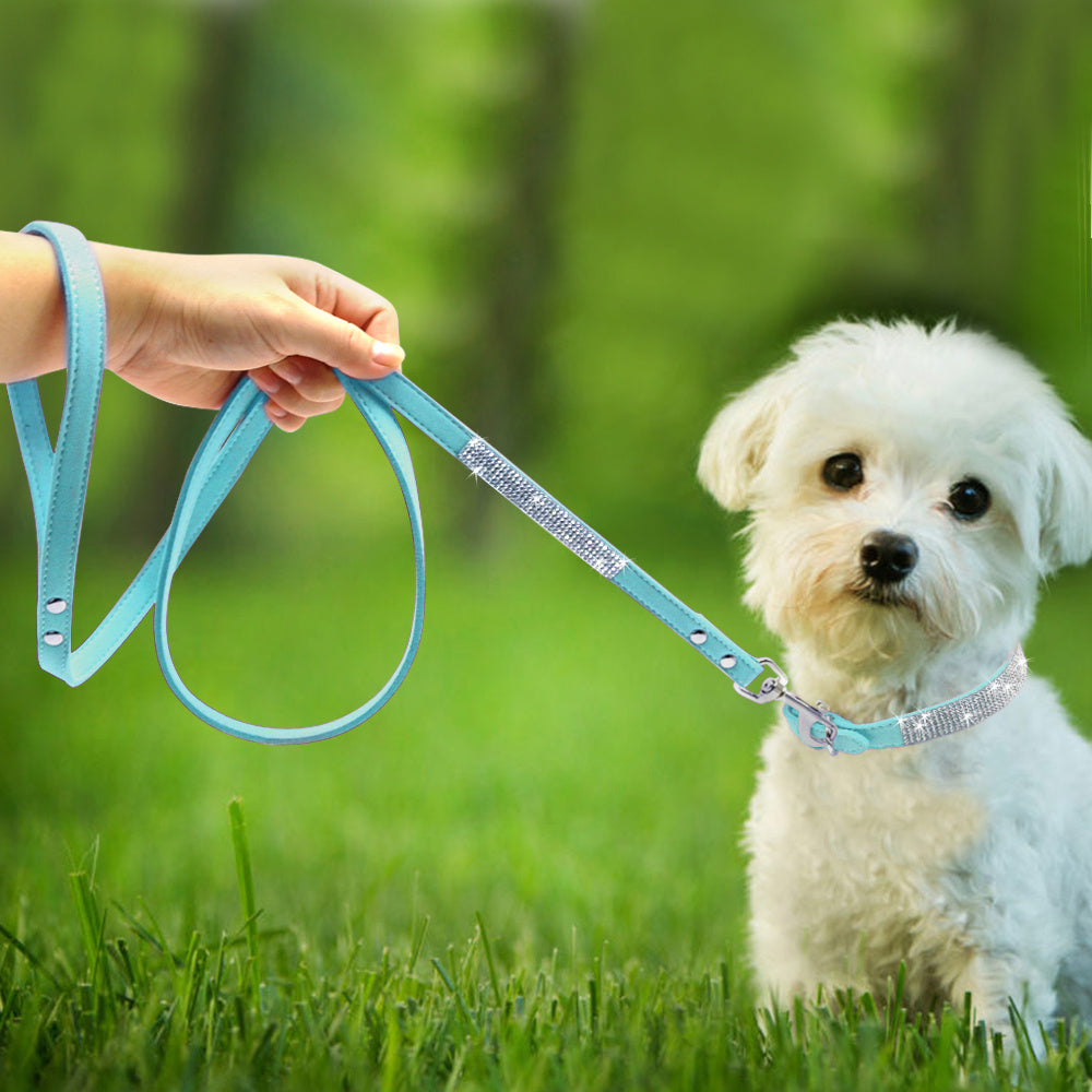 Dog Collar Dog Leash1