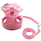 Small Pet Chest Harness and Leash