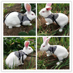 Small Animal Harness Vest and Leash Rabbit Harness Dress