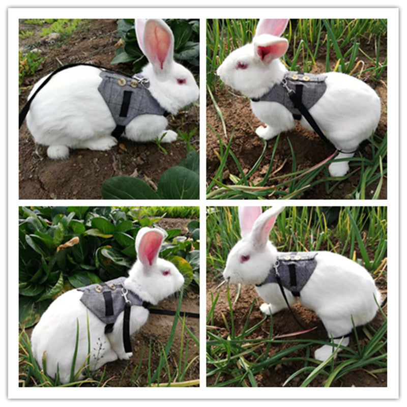 Small Animal Harness Vest and Leash Rabbit Harness Dress