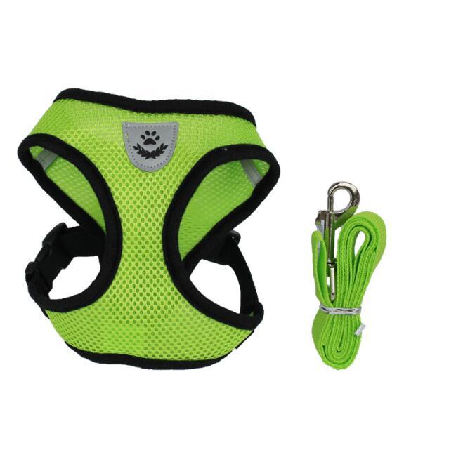 Pet Car Seat Belt Harness & Leash