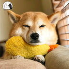 Fried Shrimp Tempura Dog Plush Chew Squeaky Toy