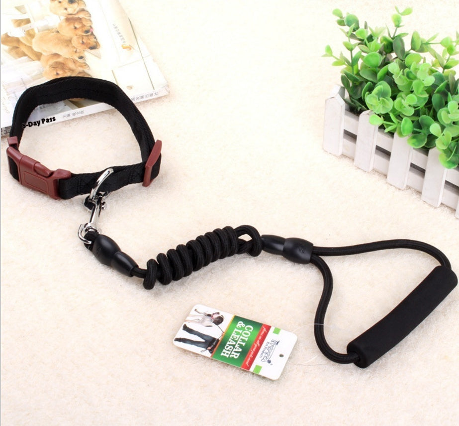Dog Collar and Leash