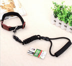 Dog Collar and Leash