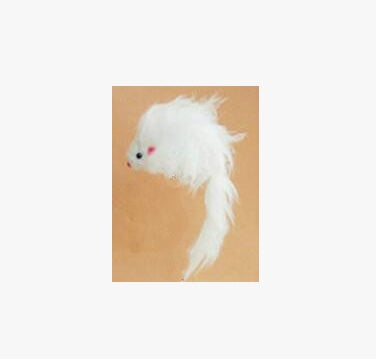 Cat Feathers & teasers Toys - Various