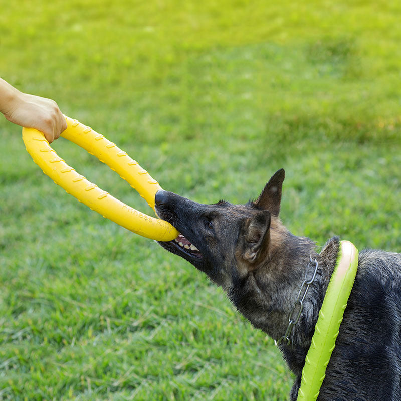 Pet Training Toy  Dog Pull Ring