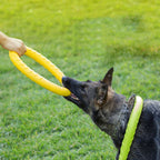 Pet Training Toy  Dog Pull Ring