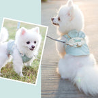 Cute Pet Harness and Leash Set