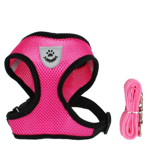 Pet Car Seat Belt Harness & Leash
