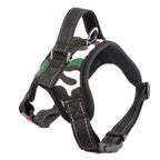 Dog Chest Harness
