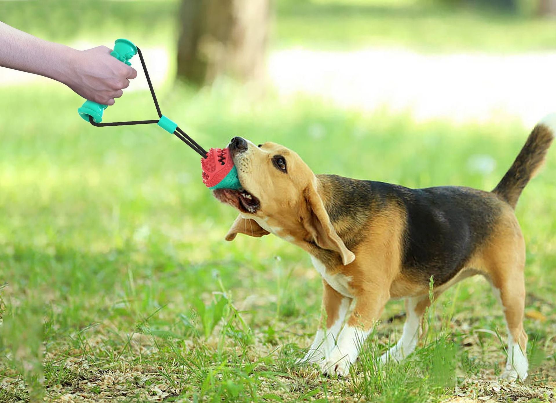 Dog Rope Pull Toy