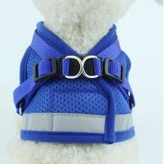 Dog Harness And Leash Set Main Image