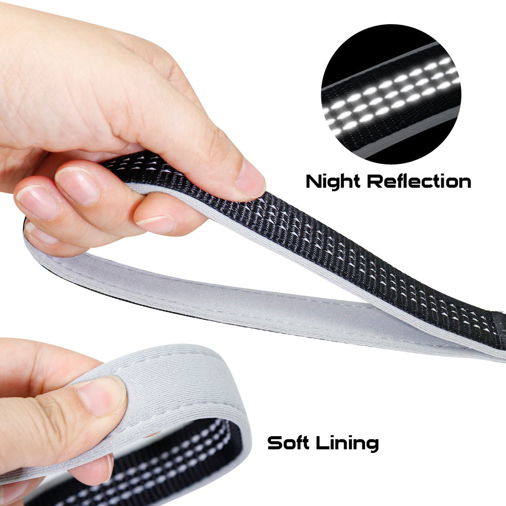 Dog Collar & Leash