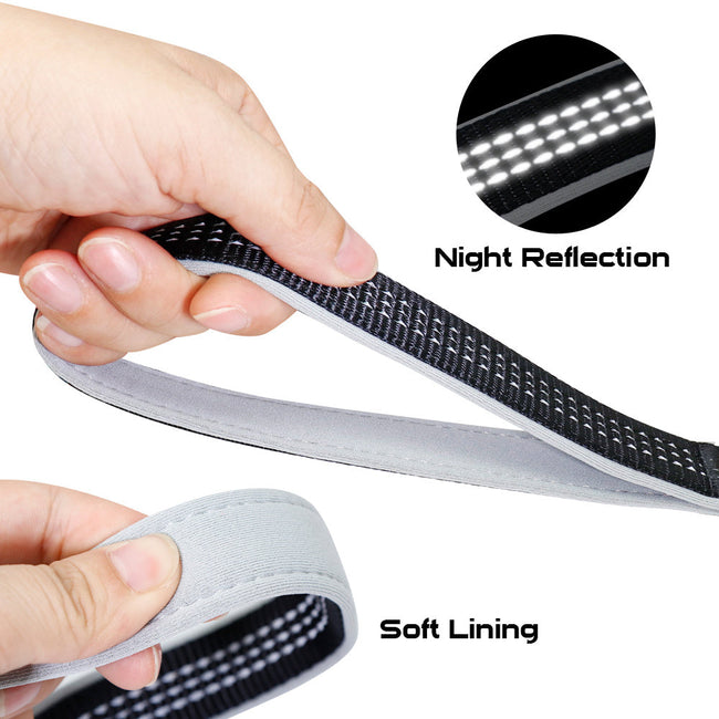 Dog Collar & Leash Main Image