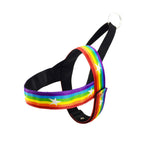 Rainbow Dog Leash & Harness