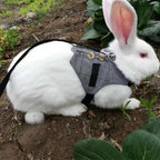 Small Animal Harness Vest and Leash Rabbit Harness Dress