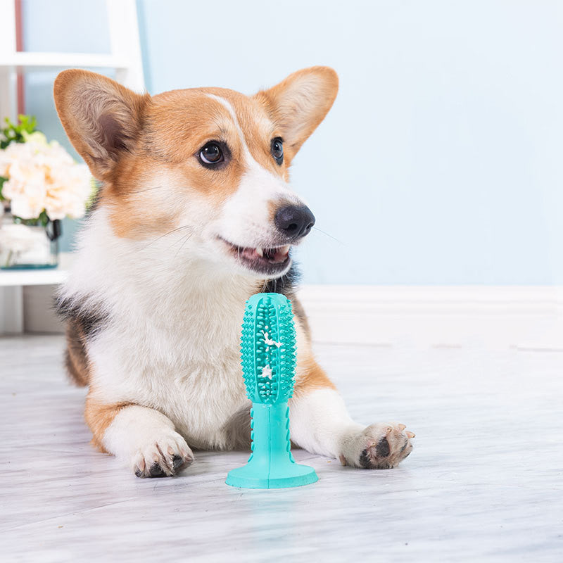 Dog Toothbrush Dog Molar Teeth Cleaning Leaking Food Device