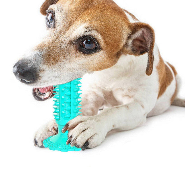 Pet Teeth Cleaning Dog Toothbrush Sucker Molar Stick Dog Bite Toy Main Image