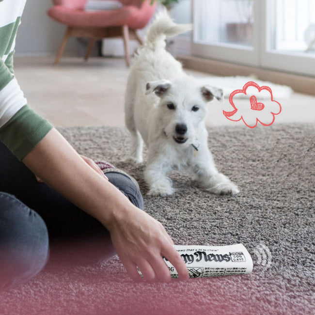 Squeaky Pet Dog Toy Newspaper Chew Training Toys Main Image