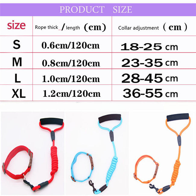 Pet Leash Dog Collar, Dog Leash, Dog Chain Main Image