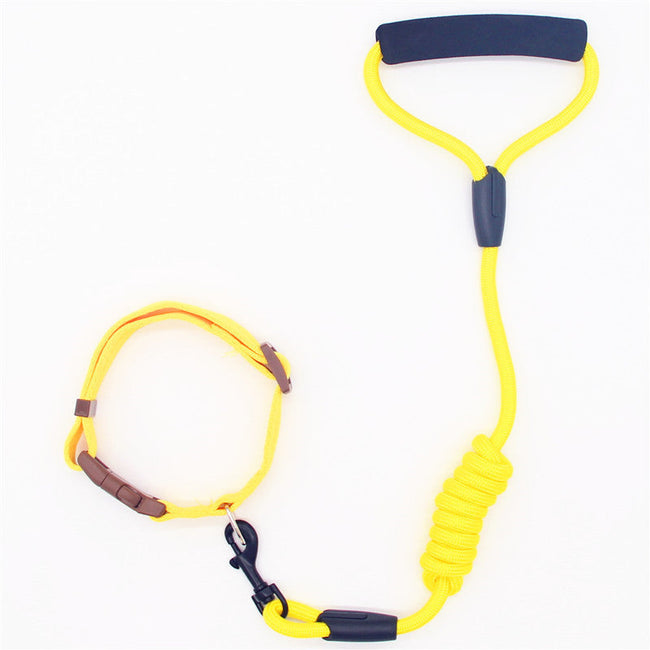 Pet Leash Dog Collar, Dog Leash, Dog Chain Hover Image