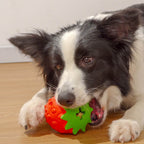 Pet Dog Teeth Cleaning Bite Resistant Toy Ball