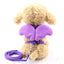Cute Angel Pet Leash & Harness